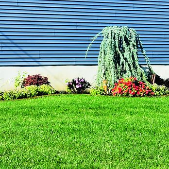 Chris The Lawn Guy - Lawn Services Near Me Chris The Lawn Guy - Lawn Services Near Me