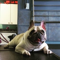 The SPAW - Waiting for his session to start