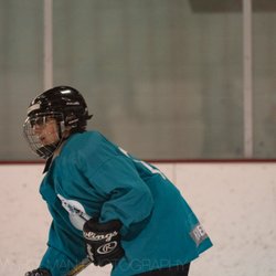 Dempsey-Anderson Ice Arena - Hockey