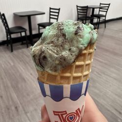 The Ice Cream Stop
