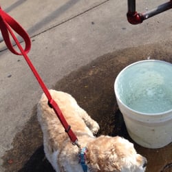 Chicago Fire Department Station 22 - Water for dogs