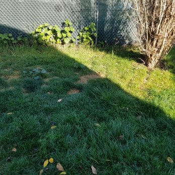 Earthtech Landscape - Missed sting trimming - Landscaping Near Me - San Martin, California Earthtech Landscape - Missed sting trimming - Landscaping Near Me - San Martin, California