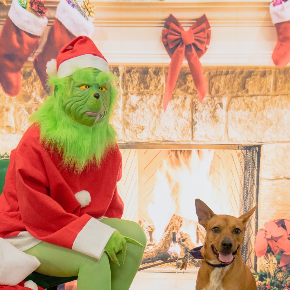 MUTTS & CO 29 Photos & 40 Reviews Pet Stores 7549 Sawmill Rd