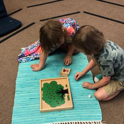 Zoe and Finn counting apples