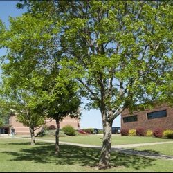 Randall University - Campus and library