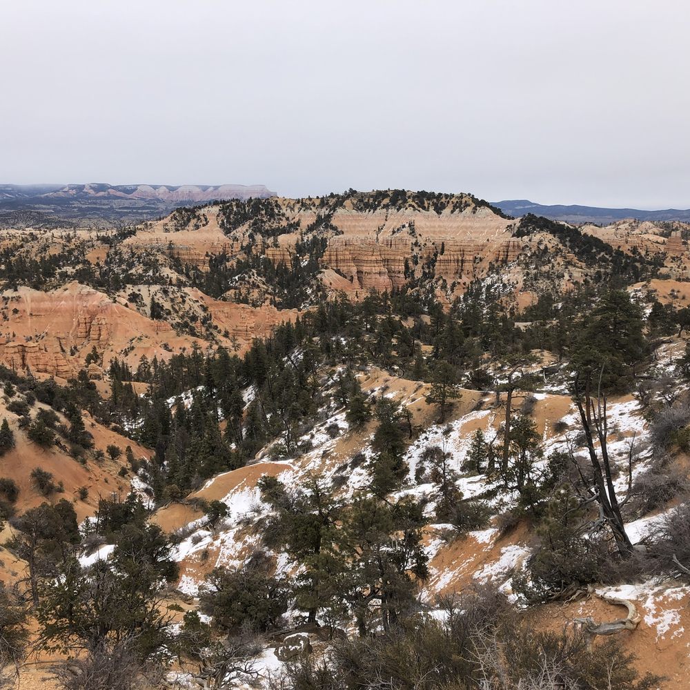 Fairyland Loop Trail - Hiking Near Me - Bryce Canyon, Utah