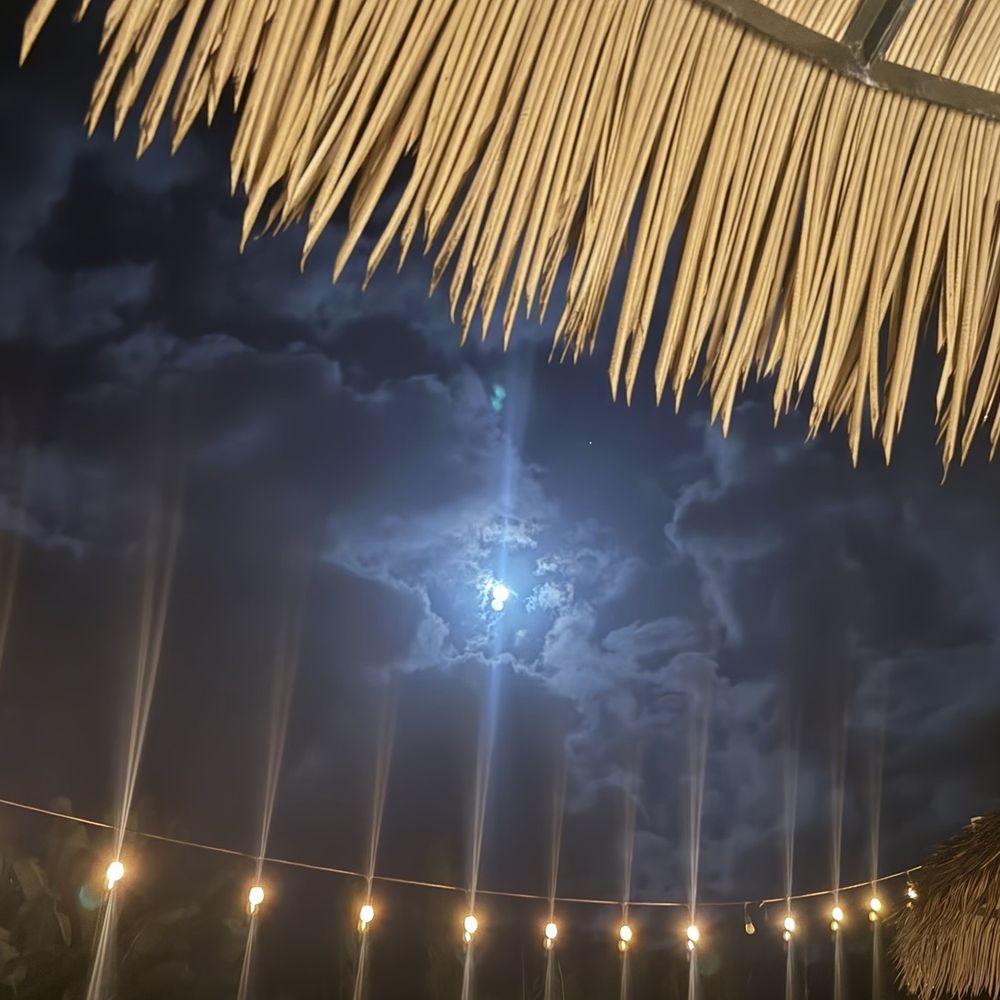 Ama - Night sky - Cocktail Bars Near Me - Hanalei, Hawaii Ama - Night sky - Cocktail Bars Near Me - Hanalei, Hawaii