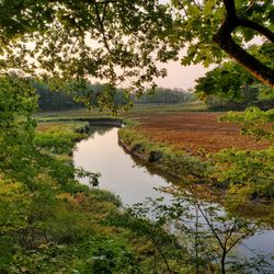 Rachel Carson National Wildlife Refuge