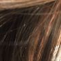 Photo of Lice Removal Fairies