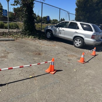 Expresso Parking - Blocked due to the tree. - Parking Near Me - Oakland, California Expresso Parking - Blocked due to the tree. - Parking Near Me - Oakland, California