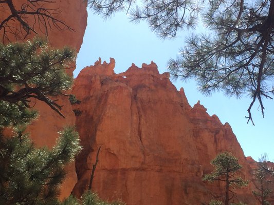 Canyon Fever Guides by null