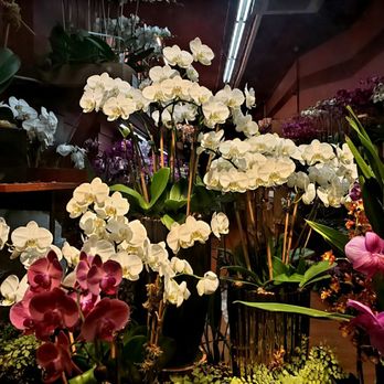 1. Big Apple Florist
