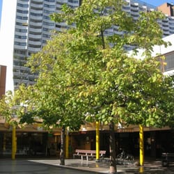 Kaufpark Alterlaa - Innenhof