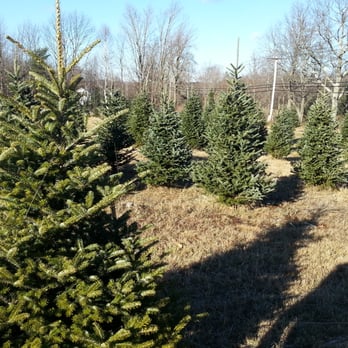 Pumpkin Hill Farm - Acres of Christmas Trees! - Home Decor Near Me - Phillipston, Massachusetts Pumpkin Hill Farm - Acres of Christmas Trees! - Home Decor Near Me - Phillipston, Massachusetts