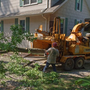 Omni Tree Service - Omni Tree Service, Inc. - Tree Services Near Me - Ellisville, Missouri Omni Tree Service - Omni Tree Service, Inc. - Tree Services Near Me - Ellisville, Missouri