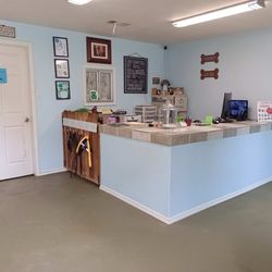 Green Dog Training - Front counter in office where we checked in