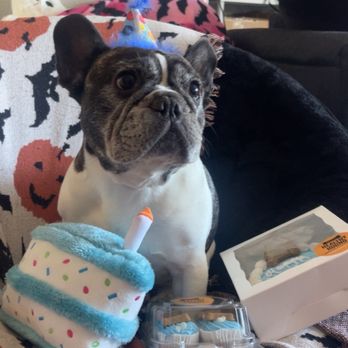 Paw Country - Dog birthday gifts - Pet Stores Near Me - La Mesa, California Paw Country - Dog birthday gifts - Pet Stores Near Me - La Mesa, California