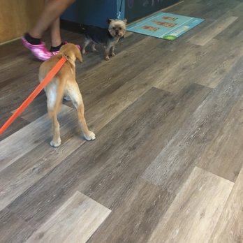 Plains Veterinary Hospital - Clients - Veterinarians Near Me - Zachary, Louisiana Plains Veterinary Hospital - Clients - Veterinarians Near Me - Zachary, Louisiana