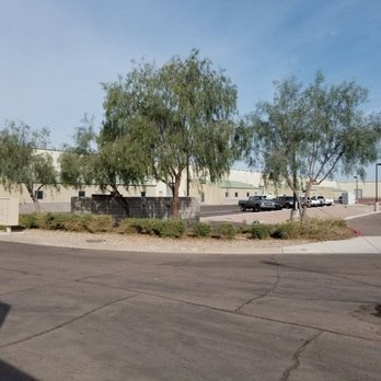 Just 4 Trees AZ - Falcon field - Tree Services Near Me