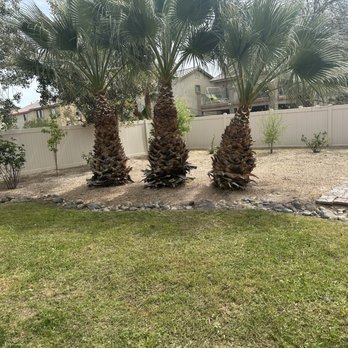 Green Drop Lawn Service - Lawn Services Near Me Green Drop Lawn Service - Lawn Services Near Me