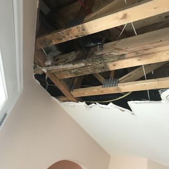 Mold Eliminators - Damage Restoration Near Me - Las Vegas, Nevada Mold Eliminators - Damage Restoration Near Me - Las Vegas, Nevada
