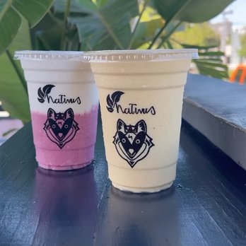Nativus - two drinks in plastic cups on a table - Gluten-Free Near Me - West Palm Beach, Florida Nativus - two drinks in plastic cups on a table - Gluten-Free Near Me - West Palm Beach, Florida