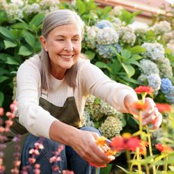 Terwilliger Dental - Dr. Hoang brings three decades of skill to every smile. Advanced care, genuine warmth. Southwest Portland dentist worth finding.