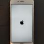 Photo of TrueGeek