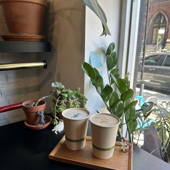 Kijitora - Coffee & Tea Near Me - Brooklyn, New York Kijitora - Coffee & Tea Near Me - Brooklyn, New York