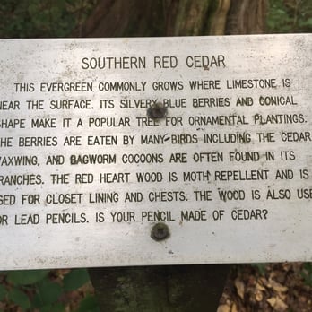 Suwannee River State Park - Parks Near Me - Lee, Florida Suwannee River State Park - Parks Near Me - Lee, Florida