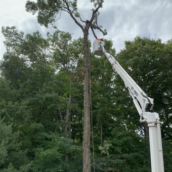 Woodlands Tree Service - Tree Services Near Me - Canton, Connecticut