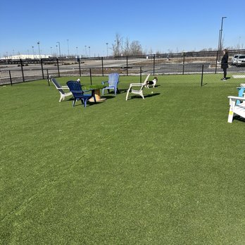 Crate Escapes Dog Park + Bar - Dog Parks Near Me - Westfield, Indiana Crate Escapes Dog Park + Bar - Dog Parks Near Me - Westfield, Indiana