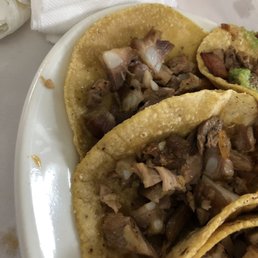 Carnitas tacos Carnitas tacos