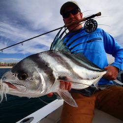 The Reel Baja - Roosterfish on the fly w/ The Reel Baja
