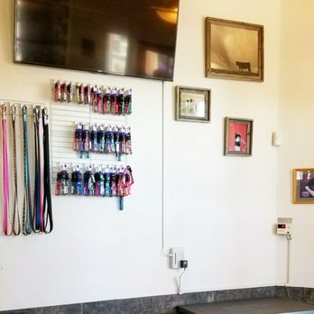 Strasburg Veterinary Clinic - Scale, a selection of collars, and leashes. - Veterinarians Near Me - Strasburg, Colorado Strasburg Veterinary Clinic - Scale, a selection of collars, and leashes. - Veterinarians Near Me - Strasburg, Colorado