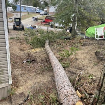 Grays Landscaping - Tree Services Near Me Grays Landscaping - Tree Services Near Me