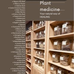 Living Stone 1 - List of Herbs at Living Stone 1