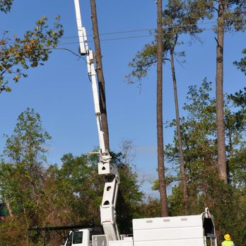 Gregalls Tree Service - Tree Services Near Me - Baton Rouge, Louisiana Gregalls Tree Service - Tree Services Near Me - Baton Rouge, Louisiana