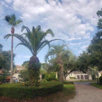 Campbell's Tree Care - Tree Services Near Me Campbell's Tree Care - Tree Services Near Me
