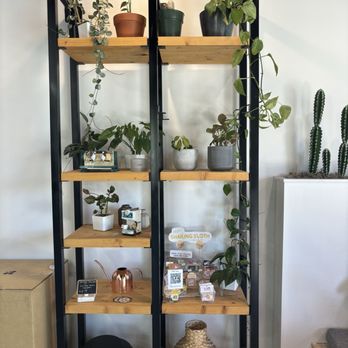 Cafe Mollie - Cute bookshelf with stickers & Lego sets - Coffee & Tea Near Me - Phoenix, Arizona Cafe Mollie - Cute bookshelf with stickers & Lego sets - Coffee & Tea Near Me - Phoenix, Arizona