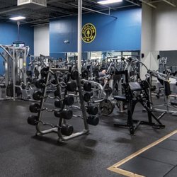 Gold's Gym - Hammer Strength + EZ Bar Curls
