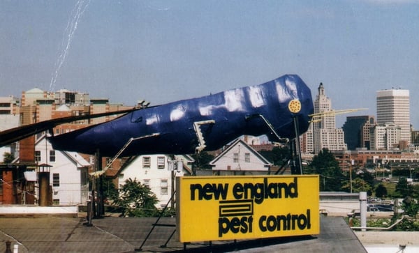 Big Blue Bug Solutions by null
