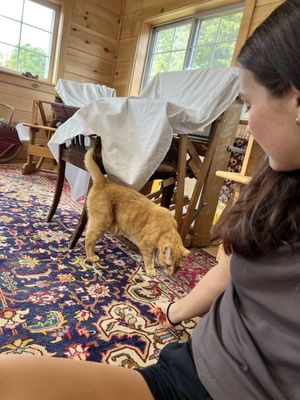 Nezinscot Farm by null