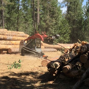 Jim Norman's Trees Unlimited - Tree Services Near Me - Grass Valley, California Jim Norman's Trees Unlimited - Tree Services Near Me - Grass Valley, California