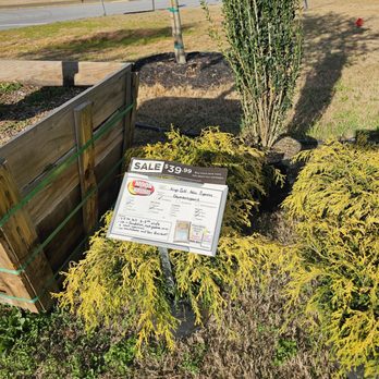 Moon Valley Nurseries - Nurseries & Gardening Near Me - Peachtree City, Georgia