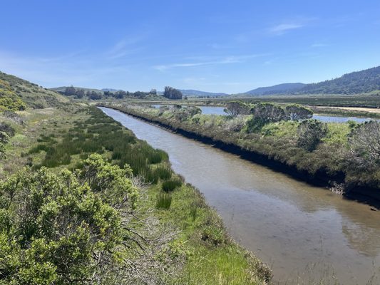 Tomales Bay Trailhead by null