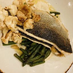 Trout