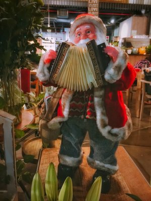 Knots Cafe & Living (Paya Lebar) by null