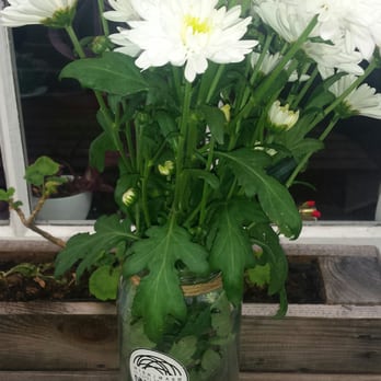 Mish.Mash - Coffee & Tea Near Me - Dublin, D