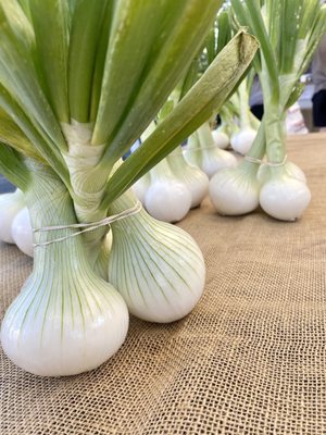Uptown Farmers Market by null